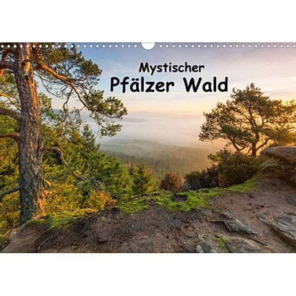 Mystischer Pfälzer Wald (Wandkalender 2022 DIN A3 quer), Bernd Leicht