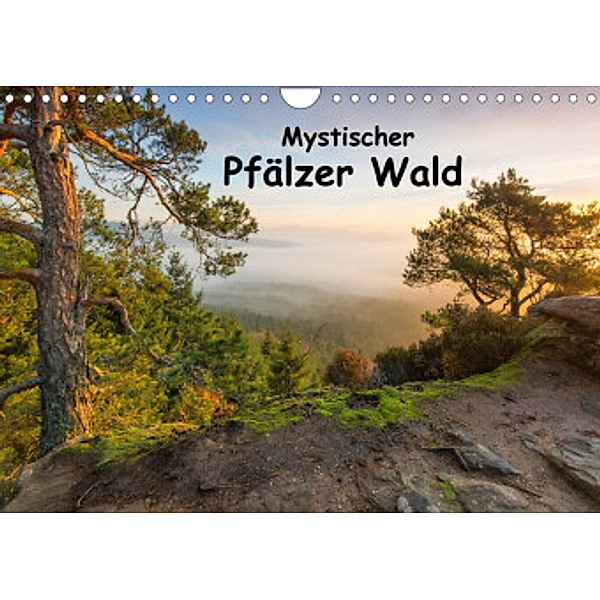 Mystischer Pfälzer Wald (Wandkalender 2022 DIN A4 quer), Bernd Leicht