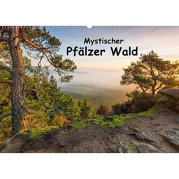 Mystischer Pfälzer Wald (Wandkalender 2023 DIN A2 quer), Bernd Leicht