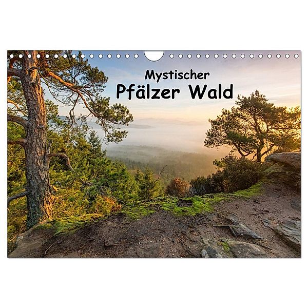 Mystischer Pfälzer Wald (Wandkalender 2024 DIN A4 quer), CALVENDO Monatskalender, Bernd Leicht