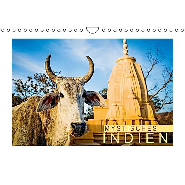 Mystisches Indien (Wandkalender 2014 DIN A4 quer)