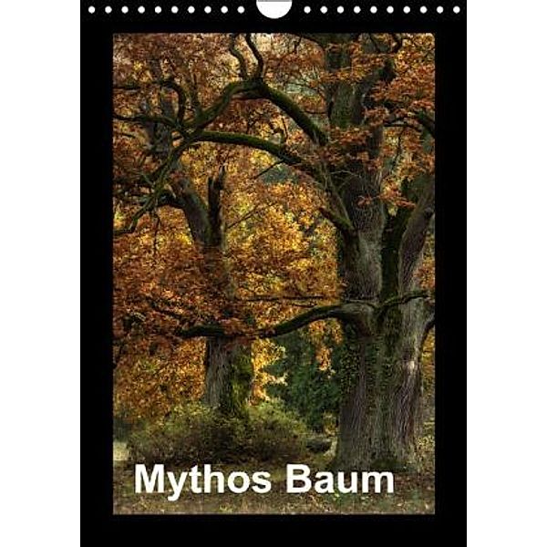 Mythos Baum / 2015 (Wandkalender 2015 DIN A4 hoch), Joachim Barig