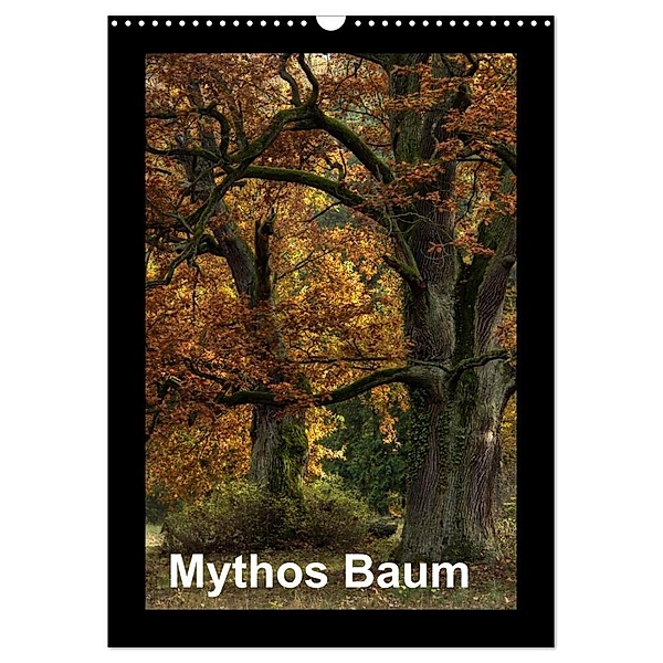 Mythos Baum / 2024 (Wandkalender 2024 DIN A3 hoch), CALVENDO Monatskalender, Joachim Barig