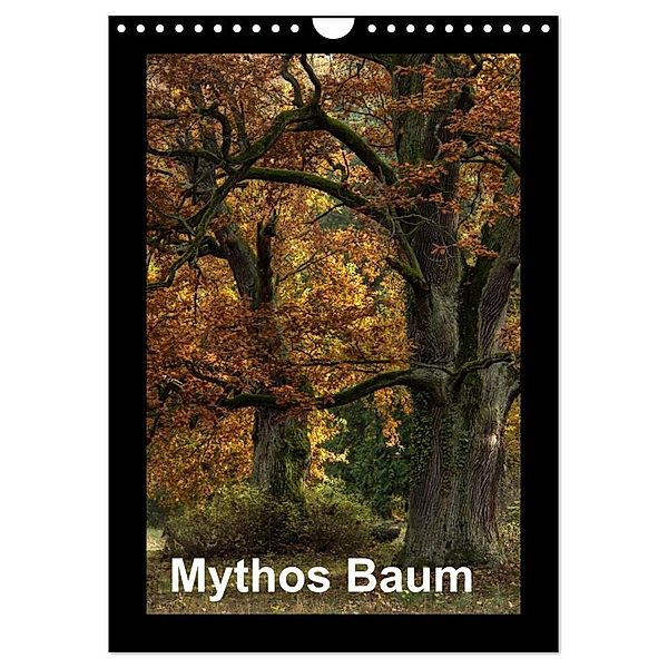 Mythos Baum / 2024 (Wandkalender 2024 DIN A4 hoch), CALVENDO Monatskalender, Joachim Barig
