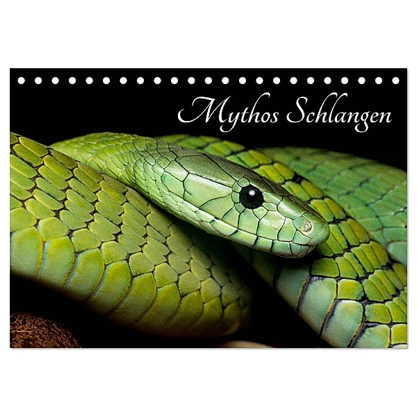 Mythos Schlangen (Tischkalender 2024 DIN A5 quer), CALVENDO Monatskalender, Daniel Liepack