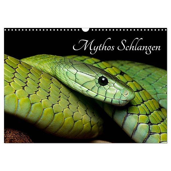 Mythos Schlangen (Wandkalender 2024 DIN A3 quer), CALVENDO Monatskalender, Daniel Liepack