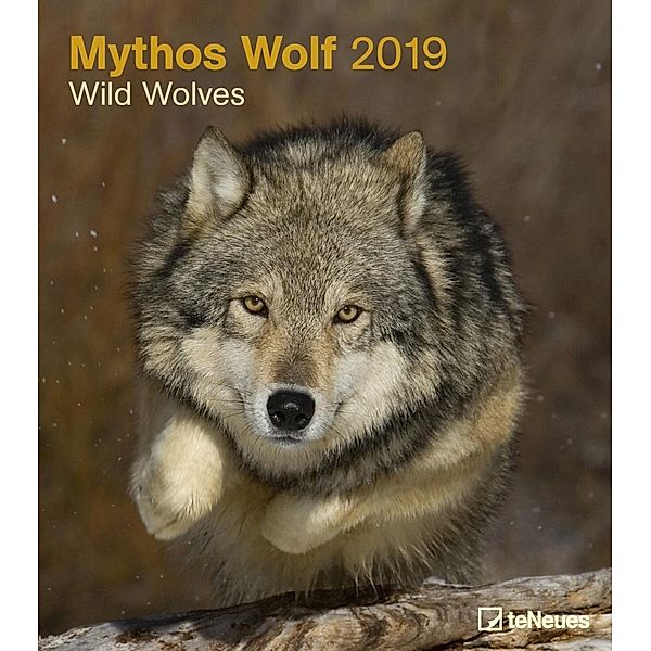 Mythos Wolf 2019