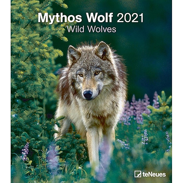 Mythos Wolf 2021