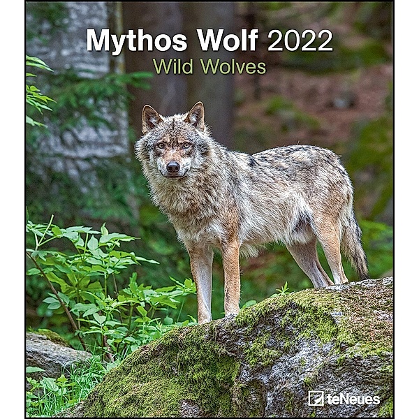Mythos Wolf 2022 - Foto-Kalender - Wand-Kalender - 30x34