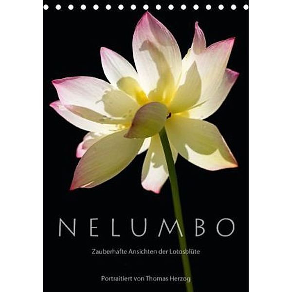 N E L U M B O Zauberhafte Ansichten der Lotosblüte (Tischkalender 2015 DIN A5 hoch), Thomas Herzog