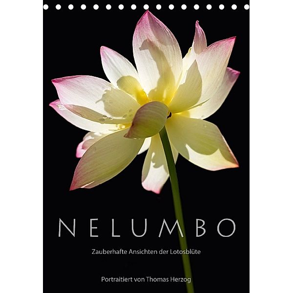 N E L U M B O - Zauberhafte Ansichten der Lotosblüte (Tischkalender 2018 DIN A5 hoch), Thomas Herzog
