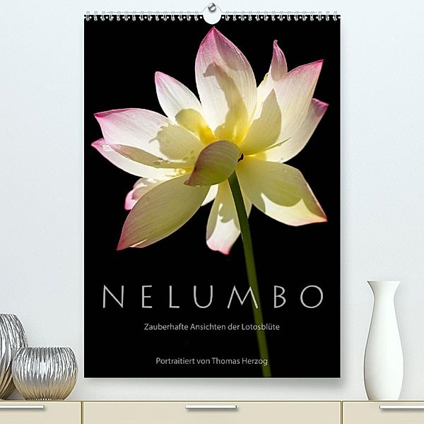 N E L U M B O - Zauberhafte Ansichten der Lotosblüte (Premium-Kalender 2020 DIN A2 hoch), Thomas Herzog