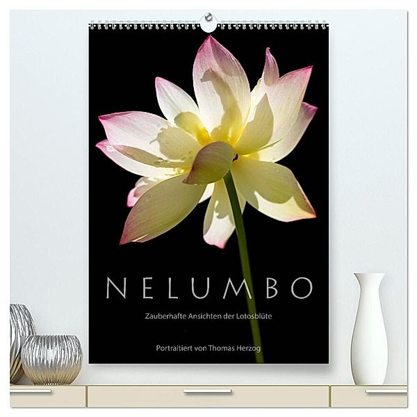 N E L U M B O - Zauberhafte Ansichten der Lotosblüte (hochwertiger Premium Wandkalender 2024 DIN A2 hoch), Kunstdruck in Hochglanz, www.bild-erzaehler.com, Thomas Herzog