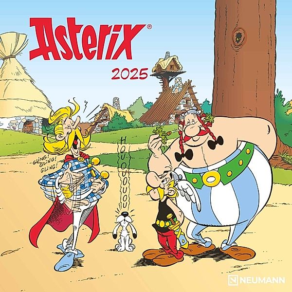 N NEUMANNVERLAGE - Asterix 2025 Broschürenkalender, 30x30cm, Wandkalender mit lustigen Asterix-Illustrationen, internationalen Feiertagen und Mondphasen, viel Platz für Notizen