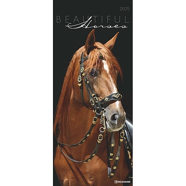 N NEUMANNVERLAGE - Beautiful Horses 2025 Wandkalender, 30x70cm, Kalender mit zwölf grandiosen Pferdeportraits, außergewöhnliche Aufnahmen, Spiralbindung und internationales Kalendarium