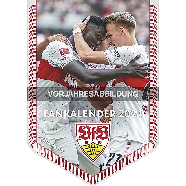 N NEUMANNVERLAGE - VfB Stuttgart 2025 Bannerkalender, 29,7x42cm, Fussballkalender mit Motiven der Stars, Fan-Kalender mit Fussball-Highlights, Spiralbindung und deutsches Kalendarium