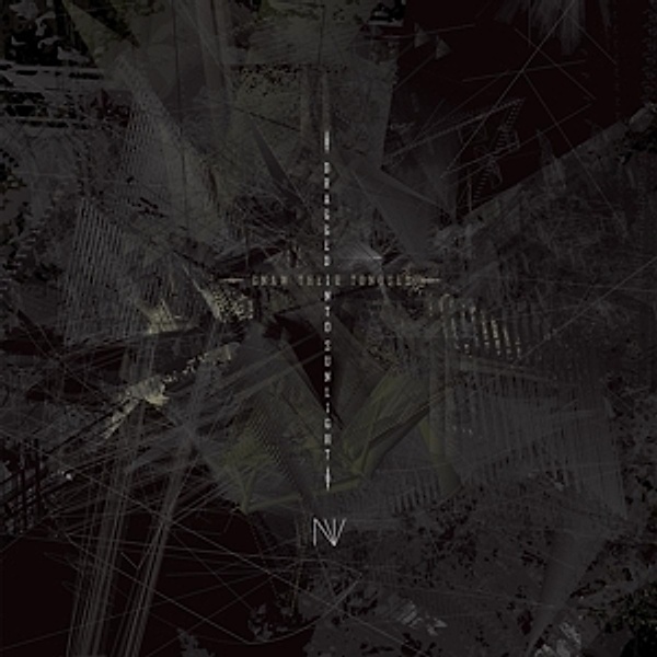 N.V. (Vinyl), Dragged Into Sunlight, Gnaw Their Tongues