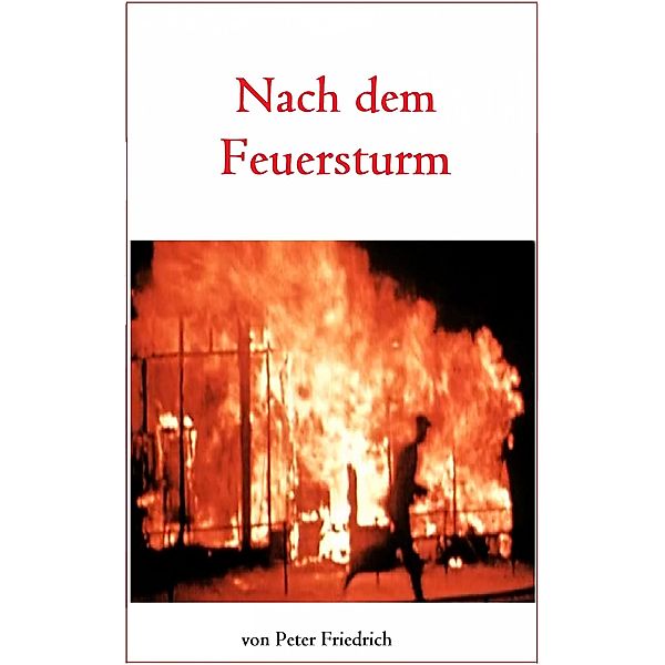 Nach dem Feuersturm, Peter Friedrich