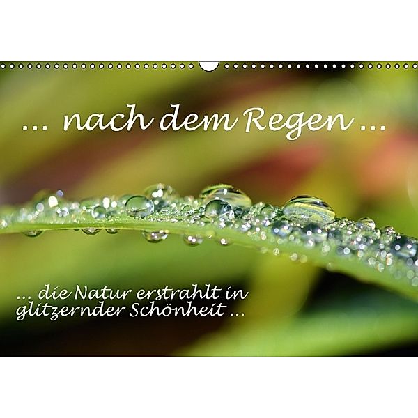 ... nach dem Regen ... die Natur erstrahlt in glitzernder Schönheit (Wandkalender immerwährend DIN A3 quer), GUGIGEI