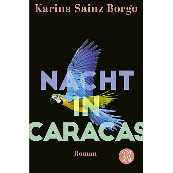 Nacht in Caracas, Karina Sainz Borgo