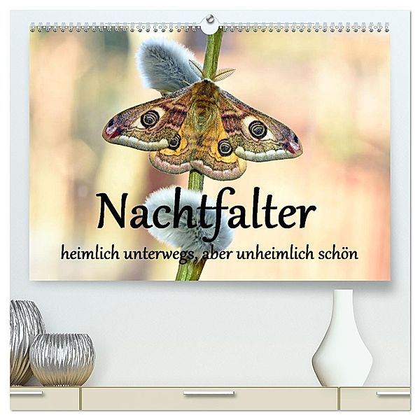 Nachtfalter - heimlich unterwegs, aber unheimlich schön (hochwertiger Premium Wandkalender 2024 DIN A2 quer), Kunstdruck in Hochglanz, Calvendo, Gugigei