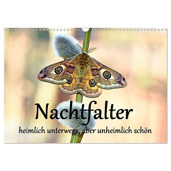 Nachtfalter - heimlich unterwegs, aber unheimlich schön (Wandkalender 2025 DIN A3 quer), CALVENDO Monatskalender, Calvendo, Gugigei