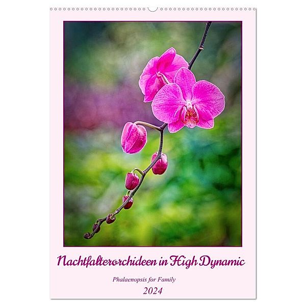 Nachtfalterorchideen in High Dynamic (Wandkalender 2024 DIN A2 hoch), CALVENDO Monatskalender, C. Stenner