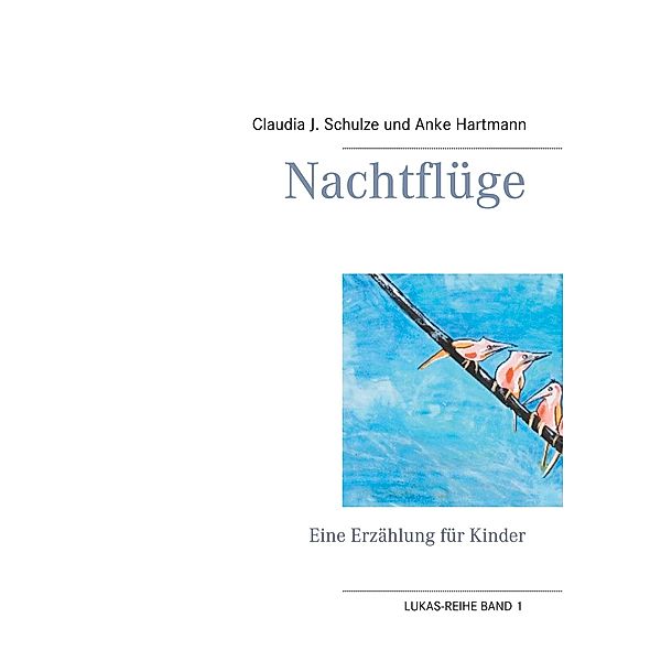 Nachtflüge, Claudia J. Schulze, Anke Hartmann