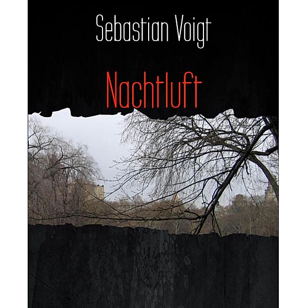 Nachtluft, Sebastian Voigt