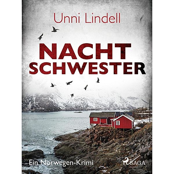 Nachtschwester - Ein Norwegen-Krimi, Unni Lindell