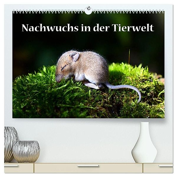 Nachwuchs in der Tierwelt (hochwertiger Premium Wandkalender 2024 DIN A2 quer), Kunstdruck in Hochglanz, Gugigei