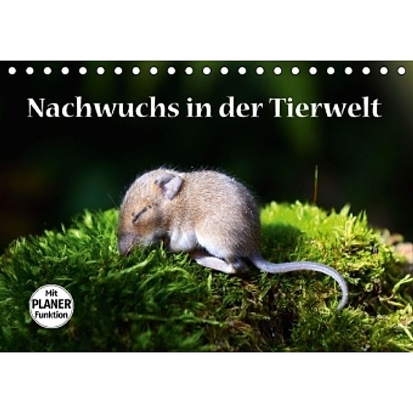 Nachwuchs in der Tierwelt (Tischkalender 2016 DIN A5 quer), GUGIGEI