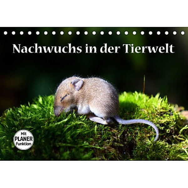 Nachwuchs in der Tierwelt (Tischkalender 2022 DIN A5 quer), GUGIGEI