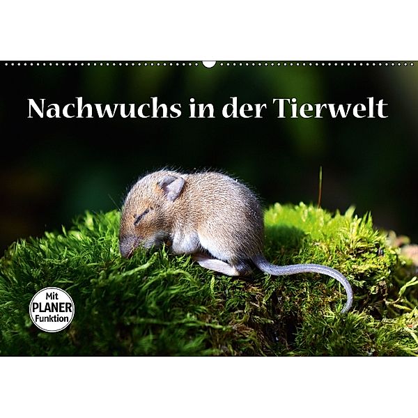 Nachwuchs in der Tierwelt (Wandkalender 2018 DIN A2 quer) Dieser erfolgreiche Kalender wurde dieses Jahr mit gleichen Bi, GUGIGEI