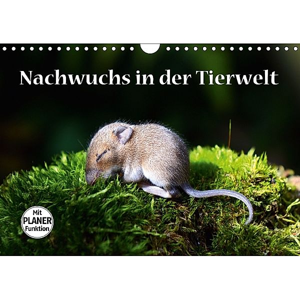 Nachwuchs in der Tierwelt (Wandkalender 2018 DIN A4 quer) Dieser erfolgreiche Kalender wurde dieses Jahr mit gleichen Bi, GUGIGEI