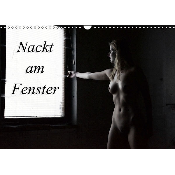 Nackt am Fenster (Wandkalender 2019 DIN A3 quer), Juri Lee