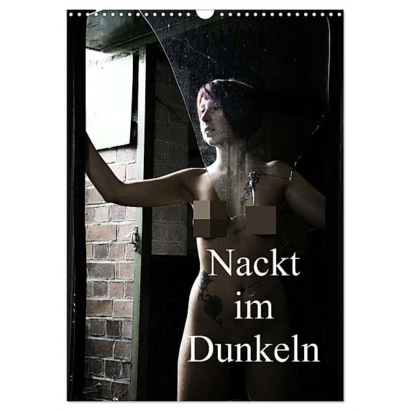 Nackt im Dunkeln / 2024 (Wandkalender 2024 DIN A3 hoch), CALVENDO Monatskalender, Juri Lee