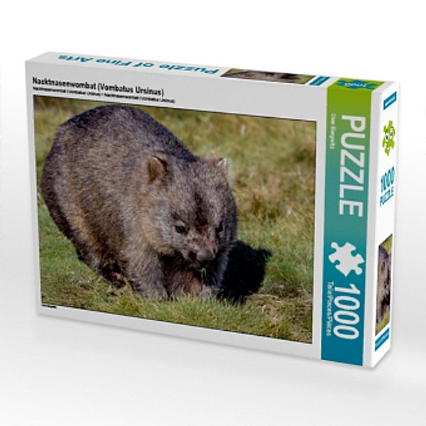 Nacktnasenwombat (Vombatus Ursinus) (Puzzle), Uwe Bergwitz