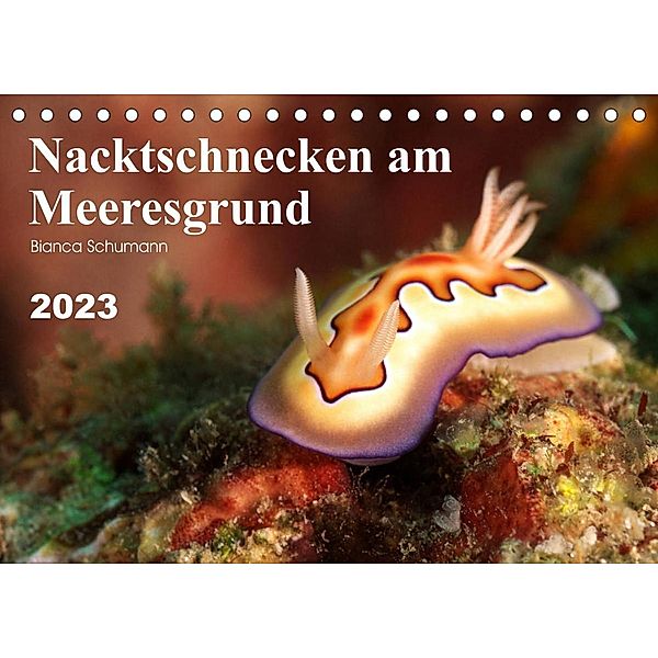 Nacktschnecken am Meeresgrund (Tischkalender 2023 DIN A5 quer), Bianca Schumann