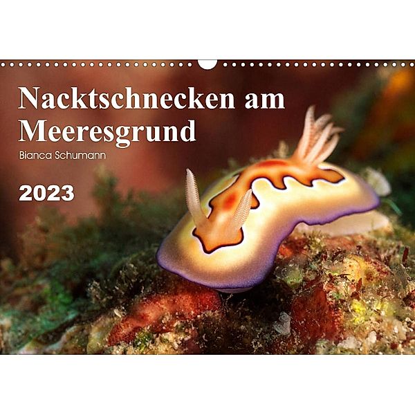 Nacktschnecken am Meeresgrund (Wandkalender 2023 DIN A3 quer), Bianca Schumann