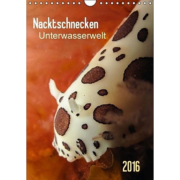 Nacktschnecken - Unterwasserwelt 2016 (Wandkalender 2016 DIN A4 hoch), Claudia Weber-Gebert