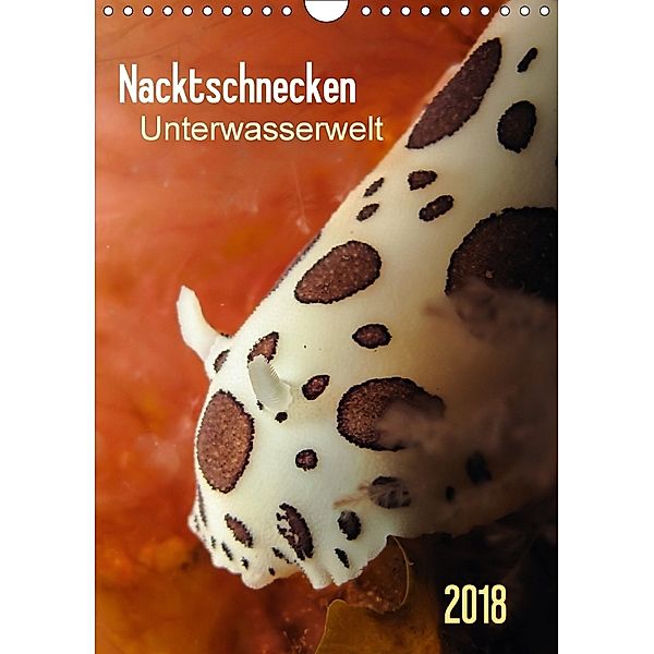 Nacktschnecken - Unterwasserwelt 2018 (Wandkalender 2018 DIN A4 hoch), Claudia Weber-Gebert