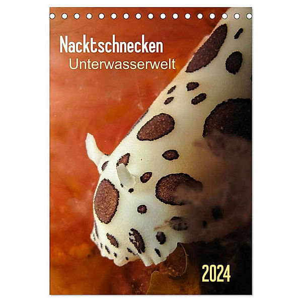 Nacktschnecken - Unterwasserwelt 2024 (Tischkalender 2024 DIN A5 hoch), CALVENDO Monatskalender, Claudia Weber-Gebert