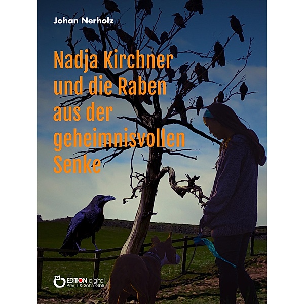 Nadja Kirchner und die Raben aus der geheimnisvollen Senke / Nadja-Kirchner-Fantasy-Reihe Bd.1, Johan Nerholz