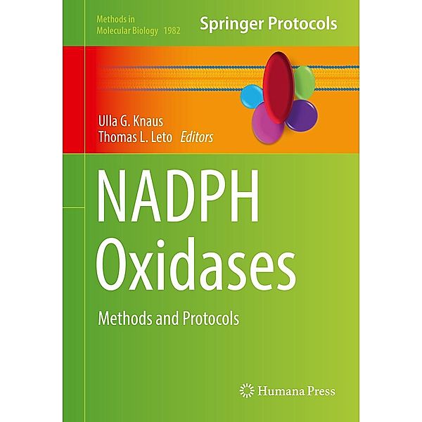 NADPH Oxidases / Methods in Molecular Biology Bd.1982