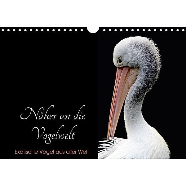 Näher an die Vogelwelt - Exotische Vögel aus aller Welt (Wandkalender 2017 DIN A4 quer), Card-Photo