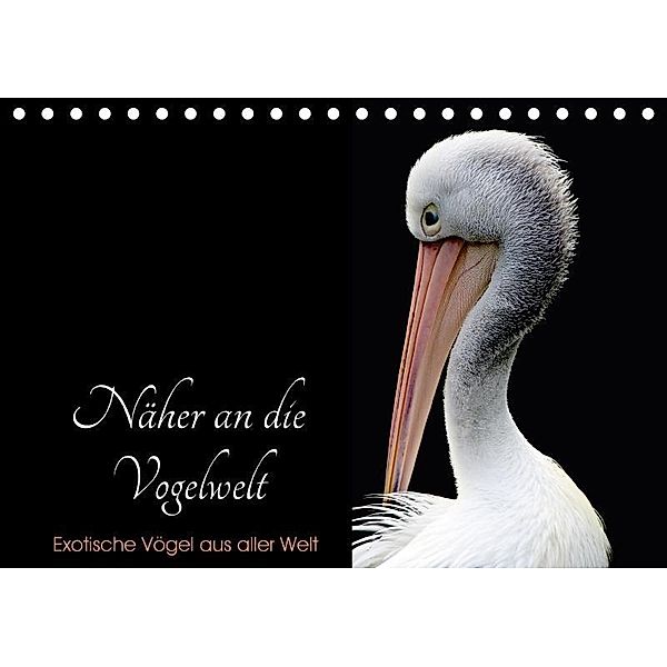 Näher an die Vogelwelt - Exotische Vögel aus aller Welt (Tischkalender 2017 DIN A5 quer), Card-Photo