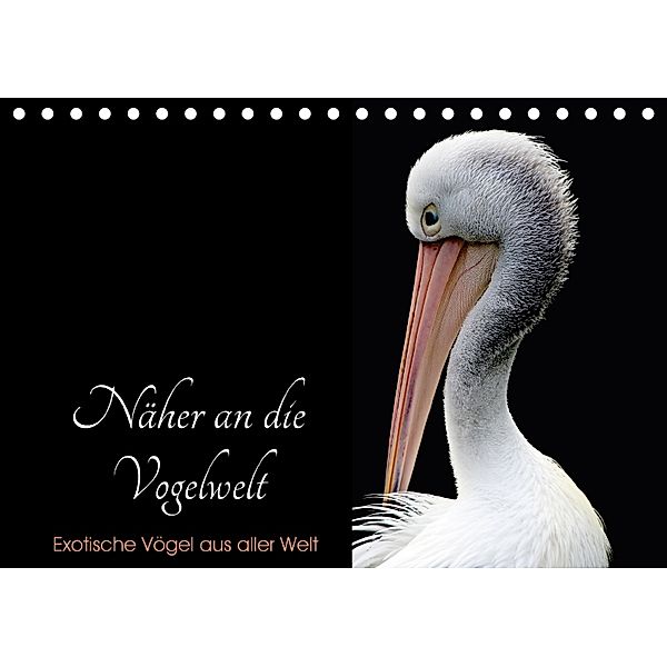 Näher an die Vogelwelt - Exotische Vögel aus aller Welt (Tischkalender 2018 DIN A5 quer), Card-Photo