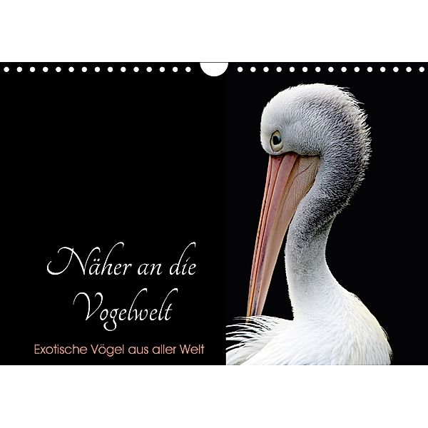 Näher an die Vogelwelt - Exotische Vögel aus aller Welt (Wandkalender 2018 DIN A4 quer), Card-Photo