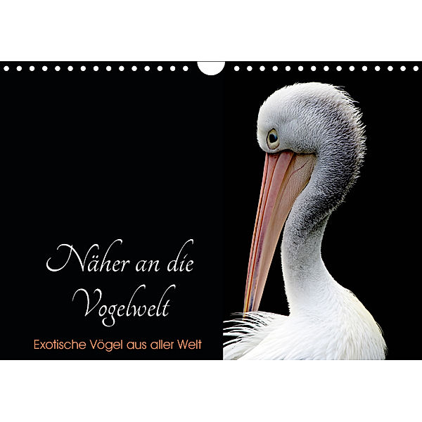 Näher an die Vogelwelt - Exotische Vögel aus aller Welt (Wandkalender 2019 DIN A4 quer), Card-Photo